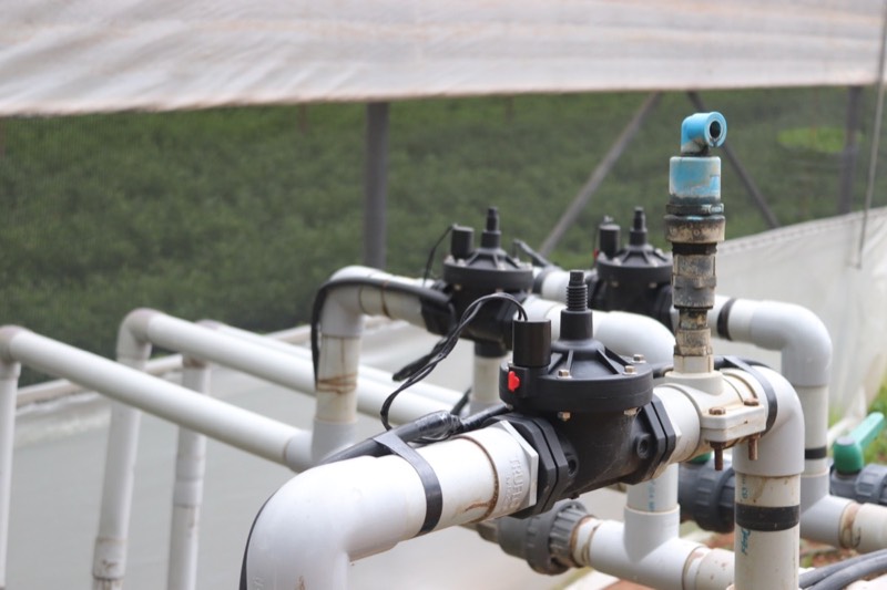 Automated Irrigation and Fertigation